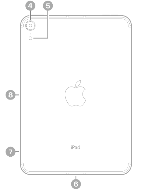 Revers de l’iPad mini amb crides a la càmera posterior i al flaix a la part superior esquerra, al connector USB-C a la part inferior central, a la safata de la SIM (Wi-Fi   Cellular) a la part inferior esquerra i al connector magnètic per a l’Apple Pencil a l’esquerra.