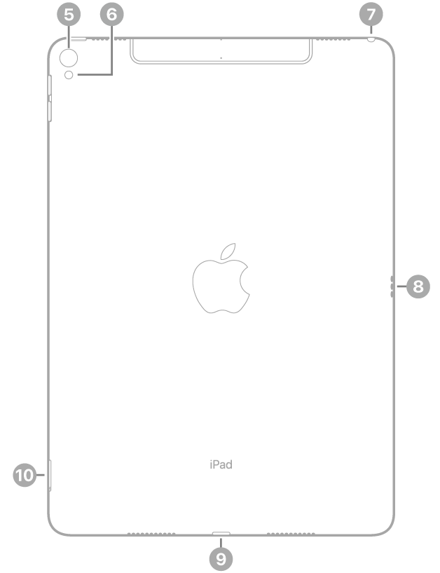 Die Rückansicht des iPad Pro mit Hinweisen auf die rückwärtige Kamera und den Blitz oben links, den Kopfhöreranschluss oben rechts, den Smart Connector rechts, den Lightning Connector unten in der Mitte und das SIM-Fach (Wi-Fi   Cellular) unten links.