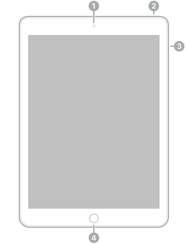 Die Vorderansicht des iPad mit Hinweisen auf die Frontkamera oben in der Mitte, die obere Taste oben rechts, die Lautstärketasten an der rechten Seite und die Home-Taste/Touch ID unten in der Mitte.