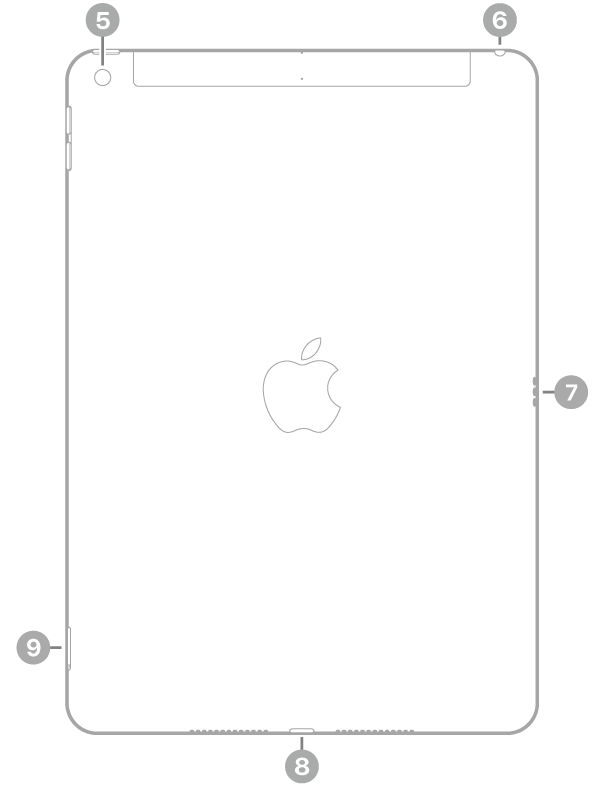 Η πίσω πλευρά του iPad με επεξηγήσεις για την πίσω κάμερα πάνω αριστερά, την υποδοχή ακουστικών πάνω δεξιά, την υποδοχή Smart Connector κάτω δεξιά, την υποδοχή Lightning κάτω στο κέντρο και την υποδοχή SIM (Wi-Fi   Cellular) κάτω αριστερά.