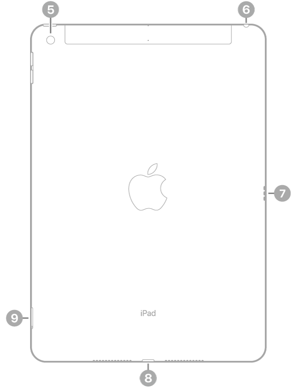 The back view of iPad with callouts to the rear camera at the top left, the headphone jack at the top right, the Smart Connector on the right, the Lightning connector at the bottom center, and the SIM tray (Wi-Fi   Cellular) at the bottom left.