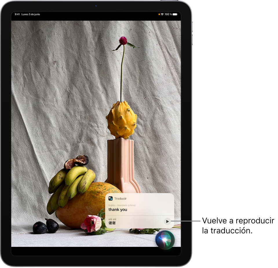Siri muestra una traducción de la frase “gracias” en chino mandarín. Un botón situado a la derecha de la traducción reproduce el audio de la traducción.