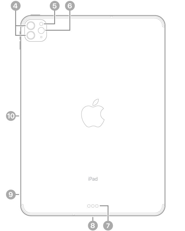 Vista posterior del iPad Pro con textos sobre las cámaras traseras y el flash en la parte superior izquierda, el Smart Connector y el conector USB-C en la parte inferior central, la bandeja de la tarjeta SIM (Wi-Fi   Cellular) abajo a la izquierda y el conector magnético para el Apple Pencil a la izquierda.