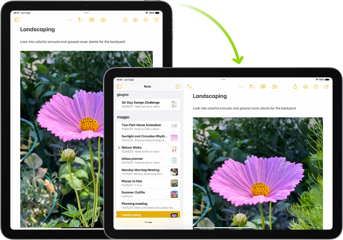 Sullo sfondo, iPad mostra una schermata di Note in orientamento verticale; in primo piano, iPad è ruotato e mostra la schermata di Note in orientamento orizzontale.