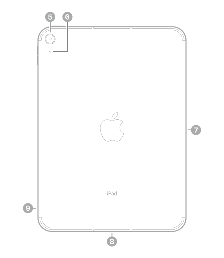 Vista posteriore di iPad con didascalie relative alla fotocamera posteriore e al microfono in alto a sinistra, lo Smart Connector sul lato destro, il connettore USB-C in basso, al centro, e il vano della SIM (modelli Wi-Fi   Cellular) in basso a sinistra.