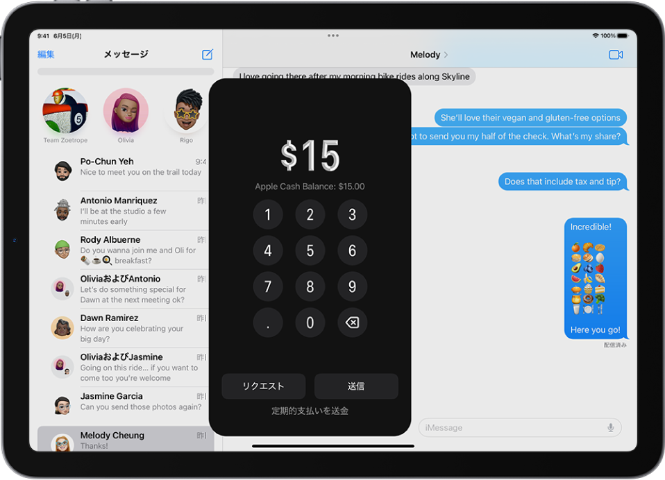 iMessageの会話。下部にApple Payが開いています。