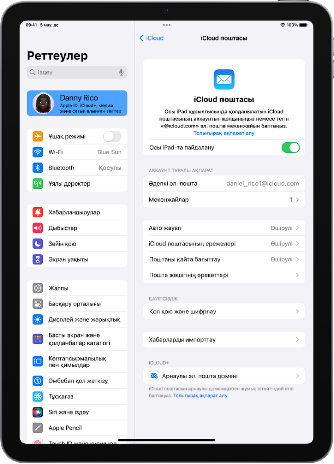 «iCloud поштасы» экранына ашық «Реттеулер» қолданбасы. «Арнаулы эл. пошта домені» түймесі экранның төменгі жағында орналасқан.