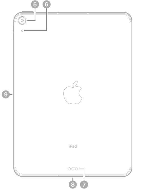 Vedere din spate a unui iPad Air de 11 inchi (M2) cu explicații pentru camera din spate în stânga sus, conectorul Smart Connector și USB-C în partea din centru jos, compartimentul SIM (Wi-Fi   Cellular) în stânga jos și conectorul magnetic pentru Apple Pencil în stânga.