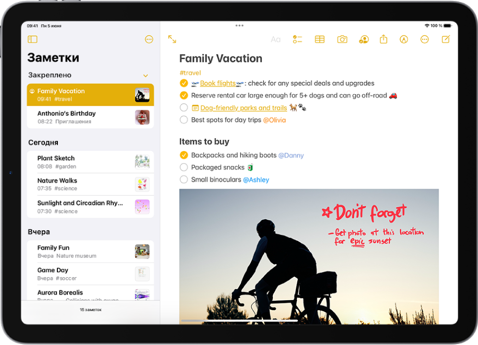Приложение «Заметки» на экране iPad в горизонтальной ориентации. В боковом меню показан список заметок. В верхней части находятся кнопки для скрытия бокового меню и управления папкой. Справа открыта заметка, выбранная в боковом меню. Заметка содержит список дел перед семейной поездкой. Над заметкой расположены кнопки, позволяющие просмотреть заметку в полноэкранном режиме, отформатировать текст, добавить контрольный список, добавить таблицу, добавить фотографию, поделиться заметкой, показать инструменты рукописного ввода, управлять заметкой, а также создать новую заметку.