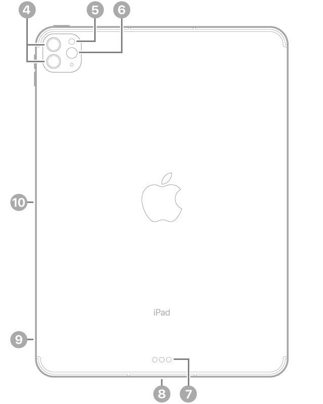 Задняя сторона iPad Pro. Выноски указывают на задние камеры и вспышку вверху слева, разъем Smart Connector и разъем Thunderbolt / USB 4 внизу в центре, лоток для SIM‑карты (на моделях Wi-Fi   Cellular) внизу слева и магнитный разъем для Apple Pencil слева.