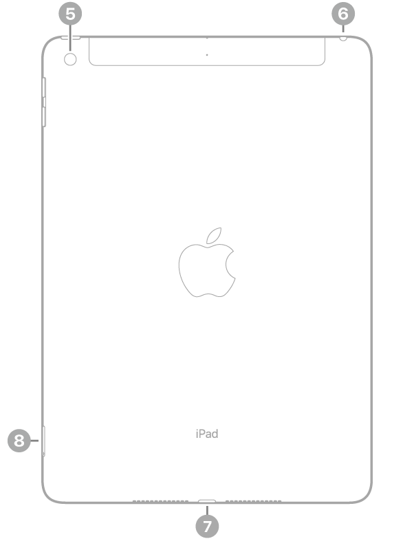 มุมมองด้านหลังของ iPad พร้อมกับคำบรรยายกล้องด้านหลังที่ด้านซ้ายบนสุด ช่องต่อหูฟังที่ด้านขวาบนสุด ช่องต่อ Lightning ที่กึ่งกลางด้านล่างสุด และถาดซิม (Wi-Fi   Cellular) ทางด้านซ้ายล่างสุด