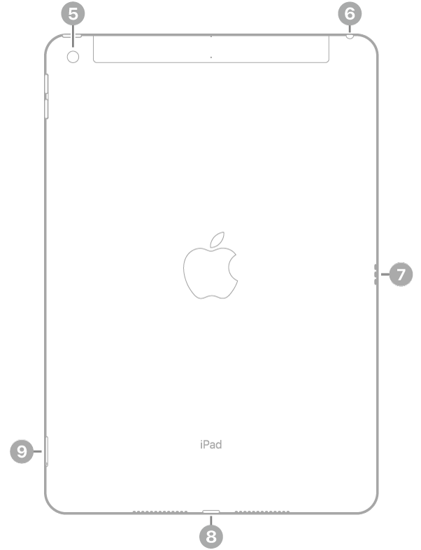 Вигляд iPad ззаду з виносками на задню камеру вгорі зліва, роз’єм для навушників угорі справа, з’єднувач Smart Connector праворуч, з’єднувач Lightning внизу по центру і тримач SIM-картки (Wi-Fi   Cellular) унизу зліва.