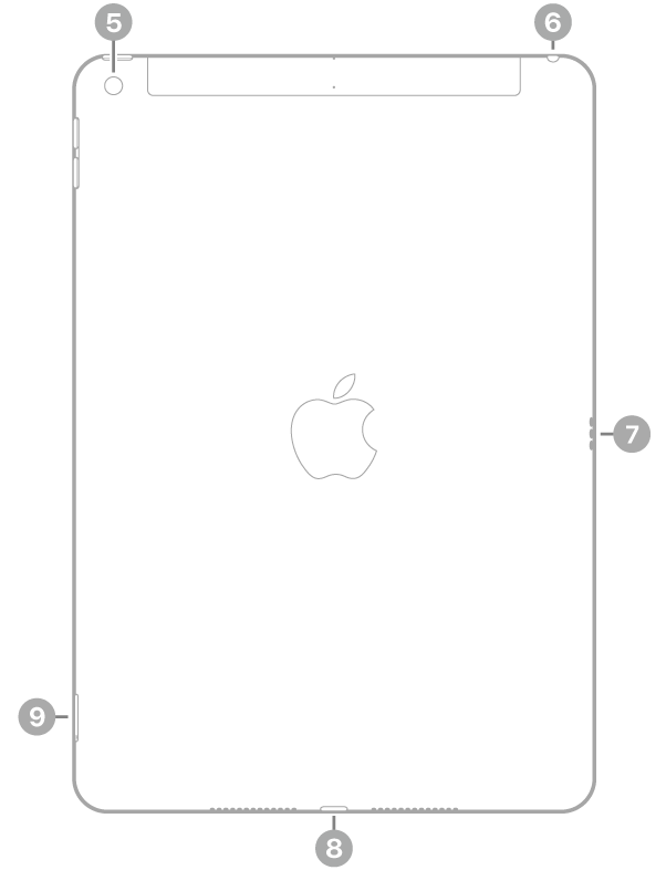 Вигляд iPad ззаду з виносками на задню камеру вгорі зліва, роз’єм для навушників угорі справа, з’єднувач Smart Connector праворуч, з’єднувач Lightning внизу по центру і тримач SIM-картки (Wi-Fi   Cellular) унизу зліва.