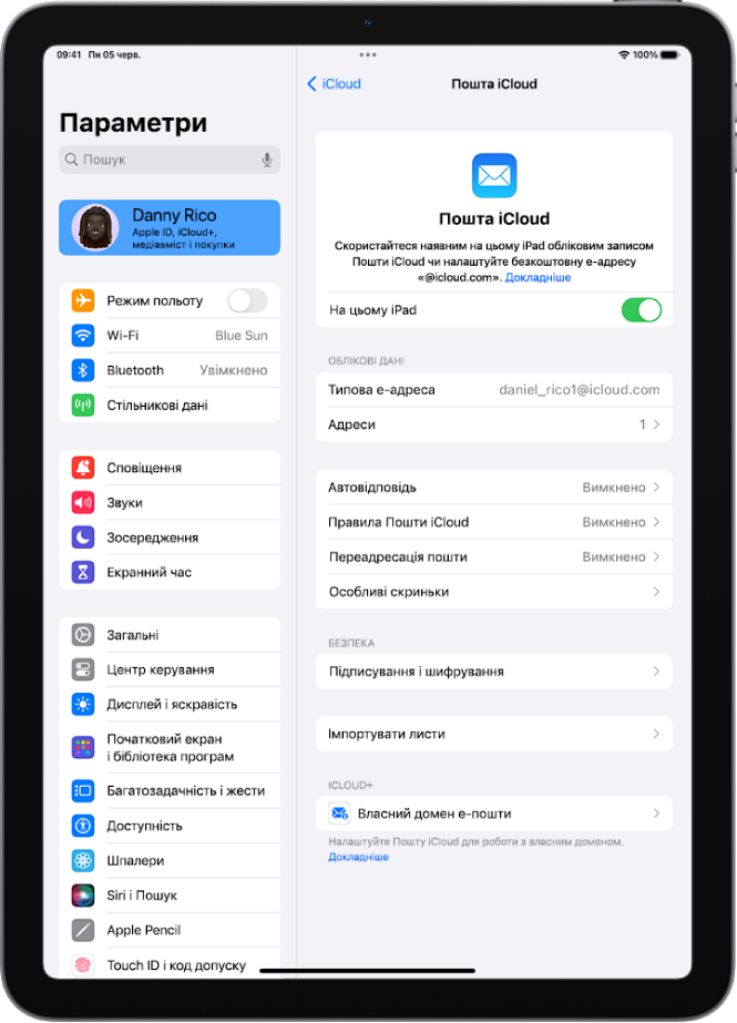 У програмі «Параметри» відкрито екран Пошти iCloud. Пункт «Власний домен е-пошти» — унизу меню.