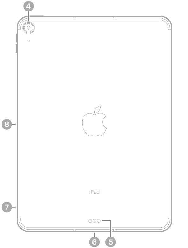 Mặt sau của iPad Air với các chú thích đến camera sau ở trên cùng bên trái, Smart Connector và đầu nối USB-C ở chính giữa dưới cùng, khay SIM (Wi-Fi   Cellular) ở dưới cùng bên trái và đầu nối từ tính cho Apple Pencil ở bên trái.