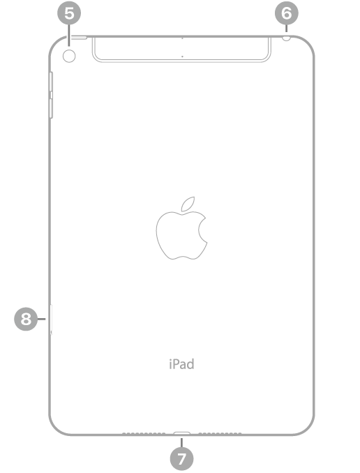 Mặt sau của iPad mini với các chú thích đến camera sau ở trên cùng bên trái, giắc cắm tai nghe ở trên cùng bên phải, đầu nối Lightning ở chính giữa dưới cùng và khay SIM (Wi-Fi   Cellular) ở dưới cùng bên trái.