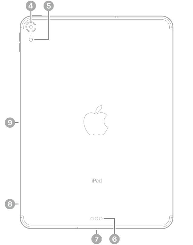 Mặt sau của iPad Pro với các chú thích đến camera mặt sau và đèn flash ở trên cùng bên trái, Smart Connector và đầu nối USB-C ở chính giữa dưới cùng, khay SIM (Wi-Fi   Cellular) ở dưới cùng bên trái và đầu nối từ tính cho Apple Pencil ở bên trái.