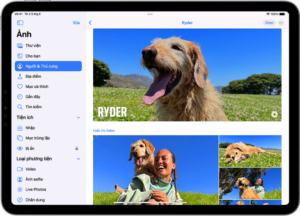 Màn hình Người & Thú cưng trong ứng dụng Ảnh đang hiển thị một video và các cảnh của một thú cưng.