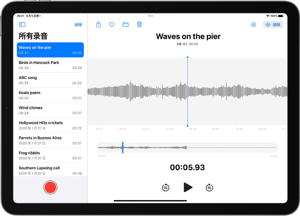 “语音备忘录”中进行的录音。左侧是录音列表，顶部是一条已选中的录音。右侧的波形带有播放头，你可以拖移它来前往录音中的特定位置。波形上方是“共享”、“个人收藏”、“移动”、“删除”、“播放设置”和“编辑”按钮。时间线下方是播放控制。