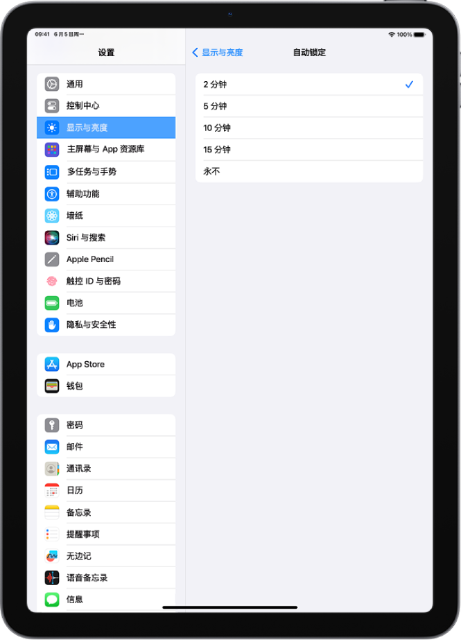 “自动锁定”屏幕，显示 iPad 自动锁定前等待时长的设置。