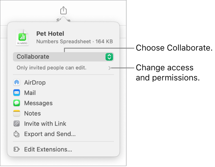 The Share menu with Collaborate selected at the top, and access and permission settings underneath.