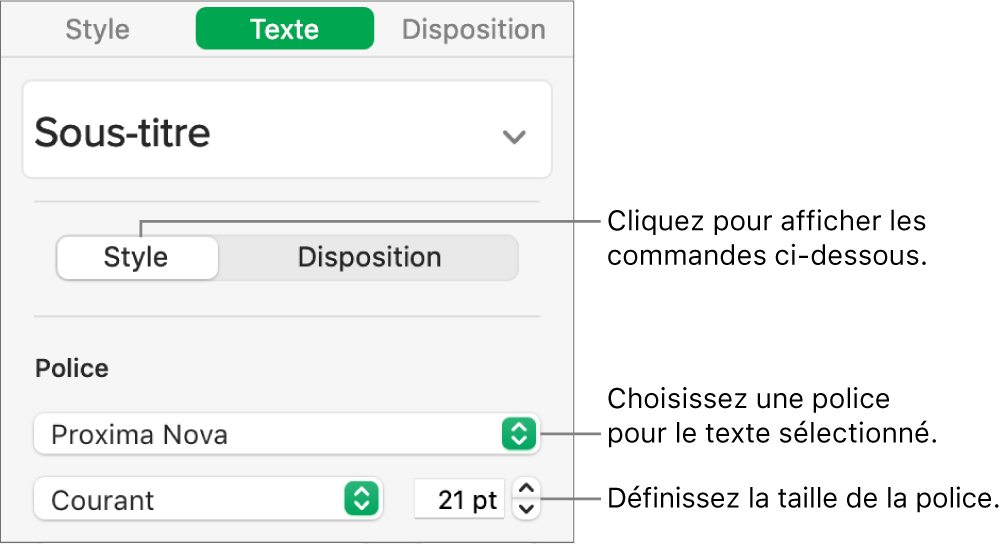 Commandes de texte de la section Style de la barre latérale Format, permettant de configurer la police et la taille des caractères.