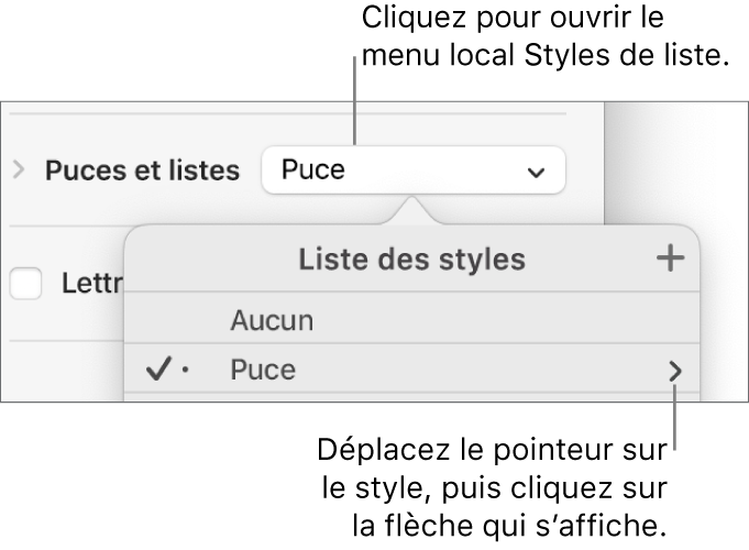 Le menu local Liste des styles avec un style sélectionné et une flèche à sa droite.