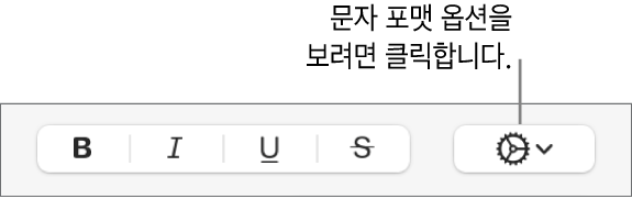 볼드체, 이탤릭체, 밑줄체 및 취소선 버튼 옆에 있는 고급 옵션 버튼.