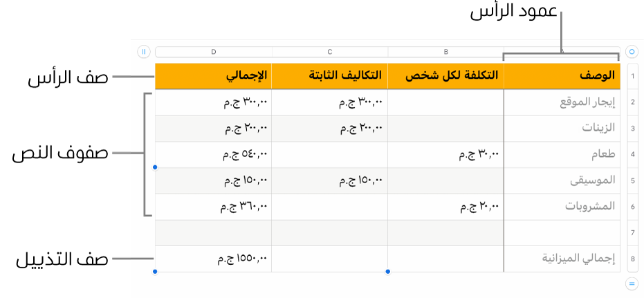 جدول يعرض صفوف وأعمدة الرأس، والمحتوى، والتذييل.