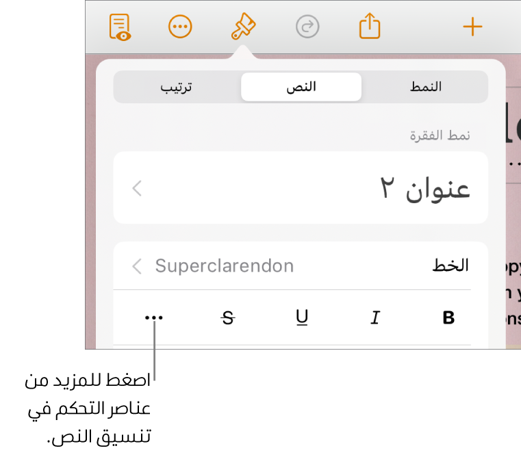 علامة تبويب النص في عناصر التحكم في التنسيق، مع وسيلة شرح لزر المزيد من خيارات النص.