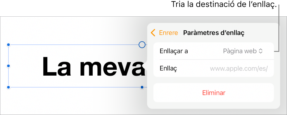 Controls “Paràmetres d’enllaç” amb l’opció “Pàgina web” seleccionada i el botó “Eliminar” situat a la part inferior.