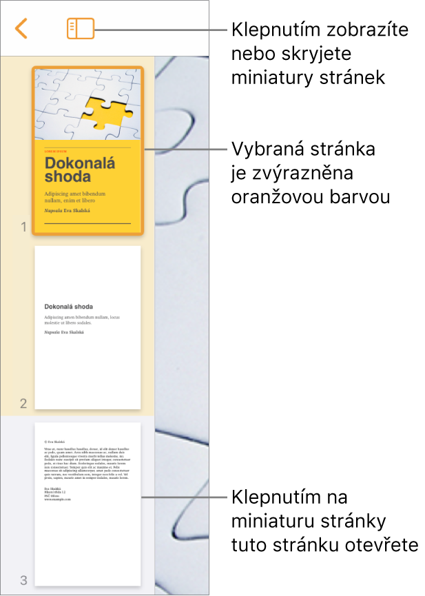 Panel s miniaturami stránek na levé straně obrazovky s oddílem s dvojstránkou, oddělovačem a jednou stránkou z dalšího oddílu. Nad miniaturami je tlačítko Zobrazit