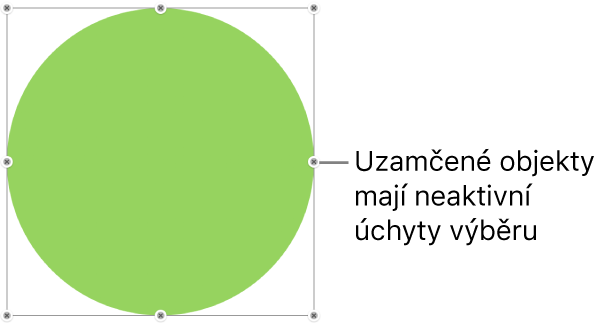 Uzamčený objekt s šedě zobrazenými úchyty výběru