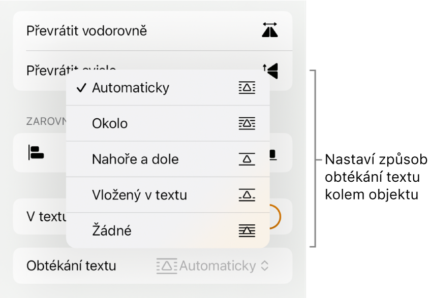 Ovládací prvky formátování s vybraným panelem Rozložení. Pod ním se nacházejí ovládací prvky Obtékání textu spolu s volbami Přesunout na pozadí/do popředí, V textu a Obtékání textu