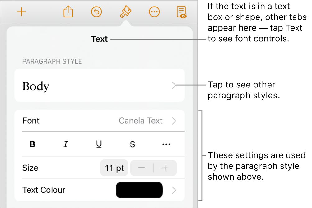 The Format menu showing text controls for setting paragraph and character styles, font, size and colour.