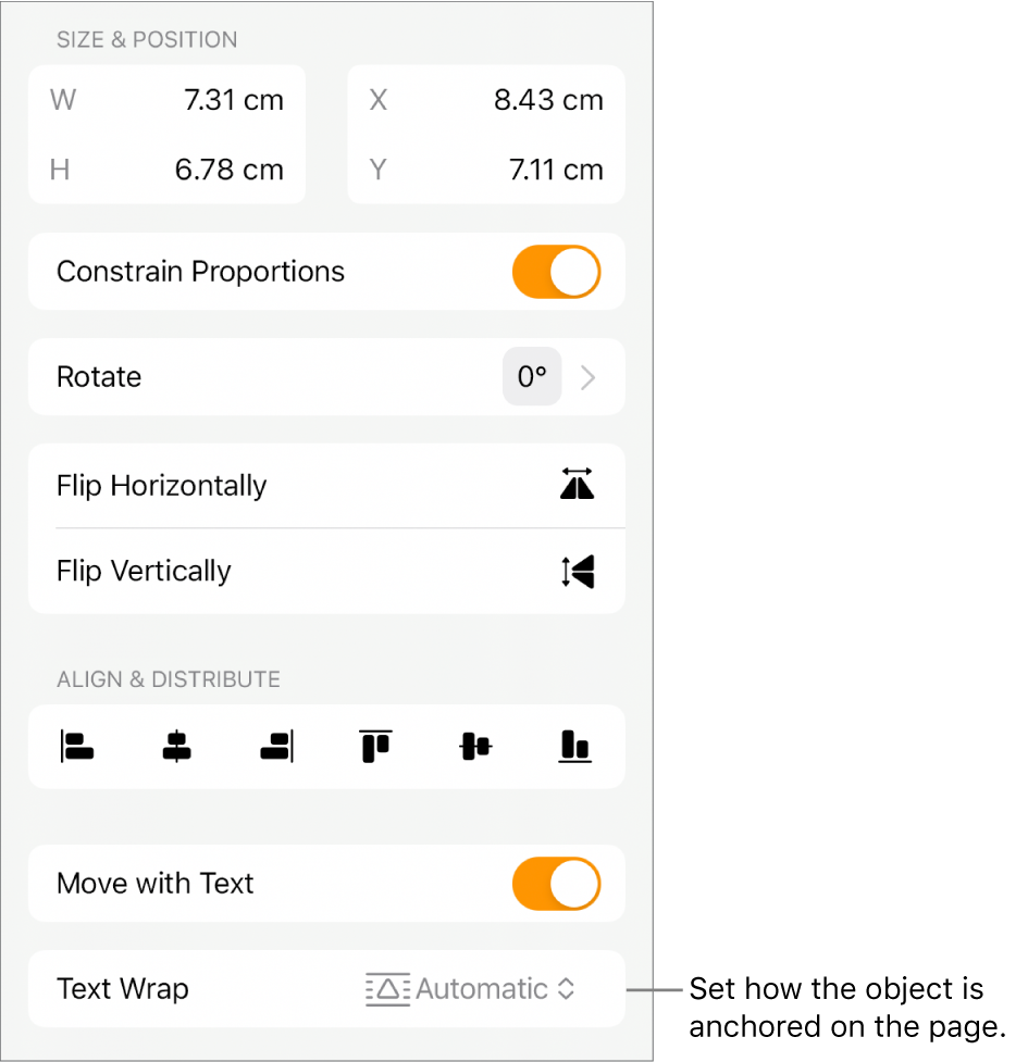 The Format controls with the Arrange tab selected and controls for Move to Back/Front, Move with Text and Text Wrap.