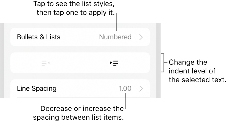 The Bullets & Lists section of the Format controls with callouts to Bullets & Lists, outdent and indent buttons, and line spacing controls.