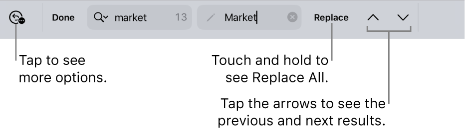 The Find & Replace controls above the keyboard with callouts to the Search Options, Replace, Go Up, and Go Down buttons