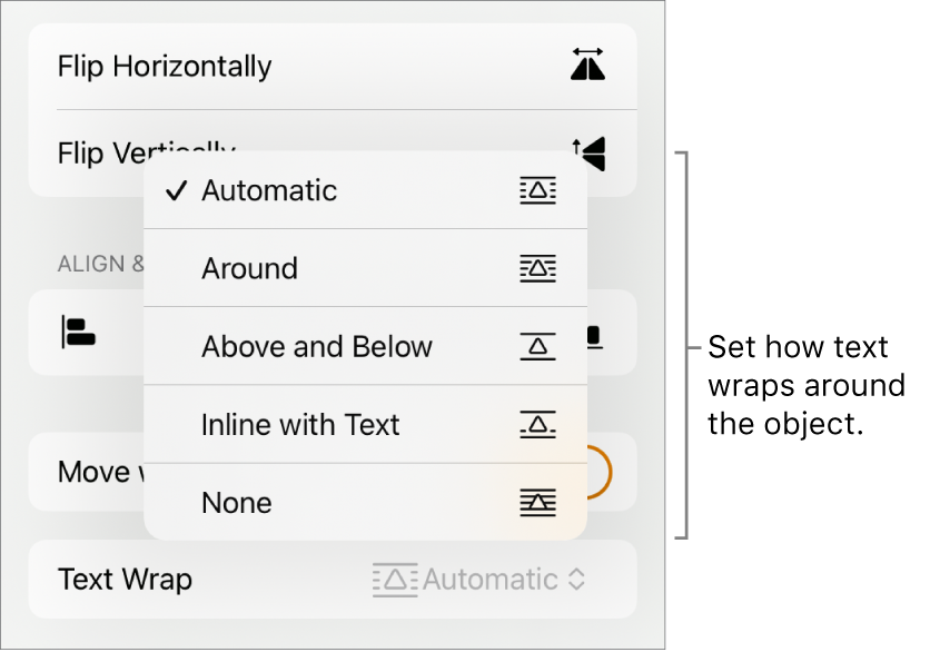 The Format controls with the Arrange tab selected. Below it are Text Wrap controls with Move to Back/Front, Move with Text, and Text Wrap.