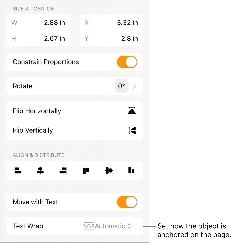 The Format controls with the Arrange tab selected and controls for Move to Back/Front, Move with Text, and Text Wrap.