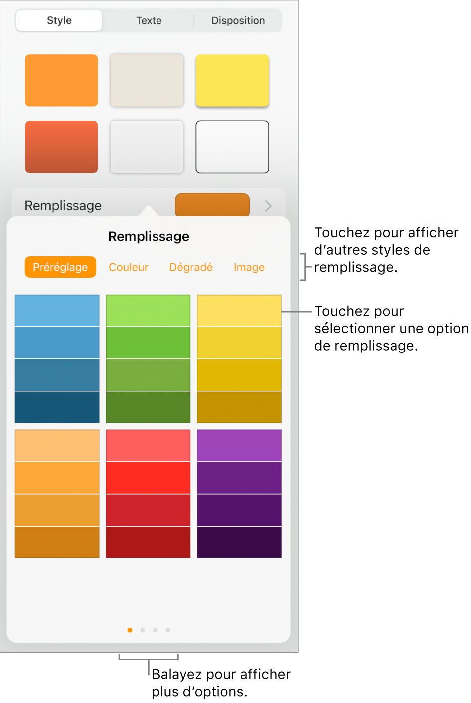 Options de remplissage de l’onglet Style du bouton Format.