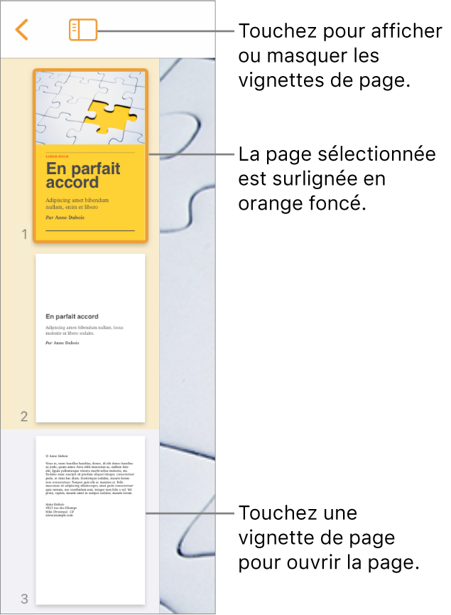 Présentation en vignettes de page du côté gauche de l’écran avec une page sélectionnée. Le bouton Options de présentation est au-dessus des vignettes.