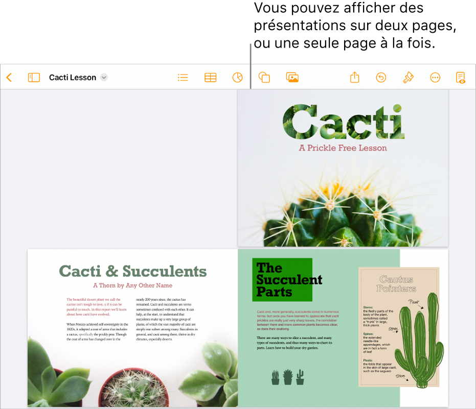 Un document dont les pages sont affichées en présentation sur deux pages.