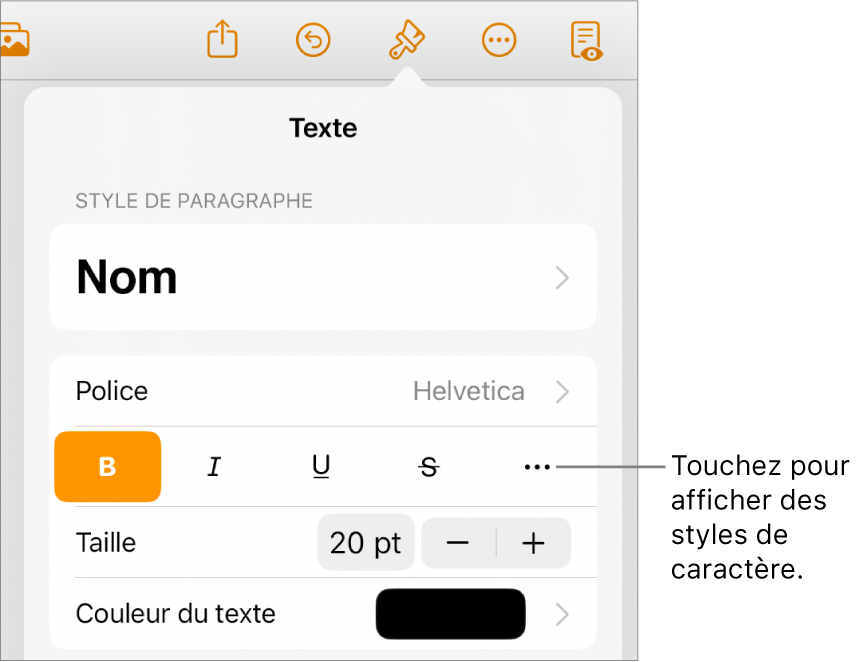 Les commandes de mise en forme avec les styles de paragraphe en haut, suivis des commandes de police. En dessous de Police se trouvent les boutons Gras, Italique, Souligné, Barré et « Plus d’options de texte ».