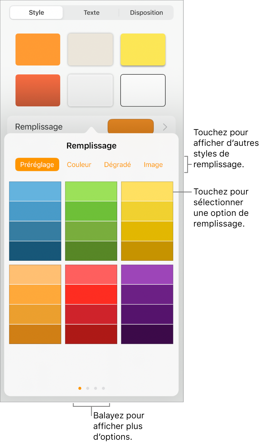 Options de remplissage de l’onglet Style du bouton Format.