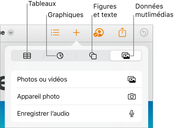 Les commandes d’insertion avec des boutons permettant d’ajouter des tableaux, des graphiques, des zones de texte, des figures et des données multimédias en haut.