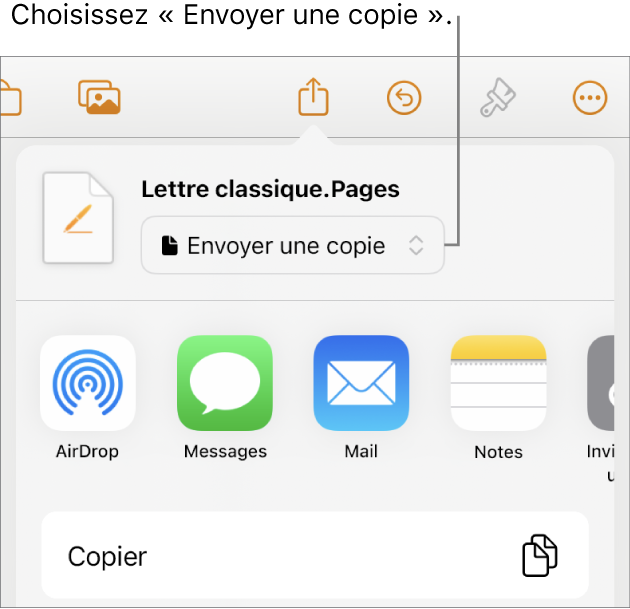 Le menu Partager avec l’option Envoyer une copie sélectionnée en haut.