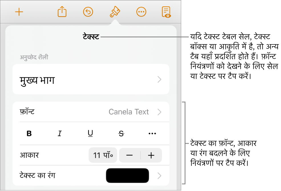 “फ़ॉर्मैट” मेनू में अनुच्छेद सेटिंग और वर्ण शैली, फ़ॉन्ट, आकार और रंग के लिए टेक्स्ट नियंत्रण।