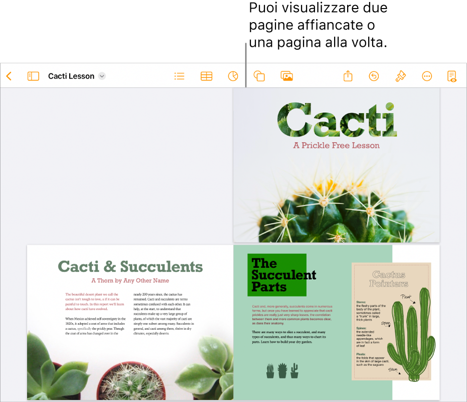 Un documento con le pagine visualizzate come due pagine affiancate.