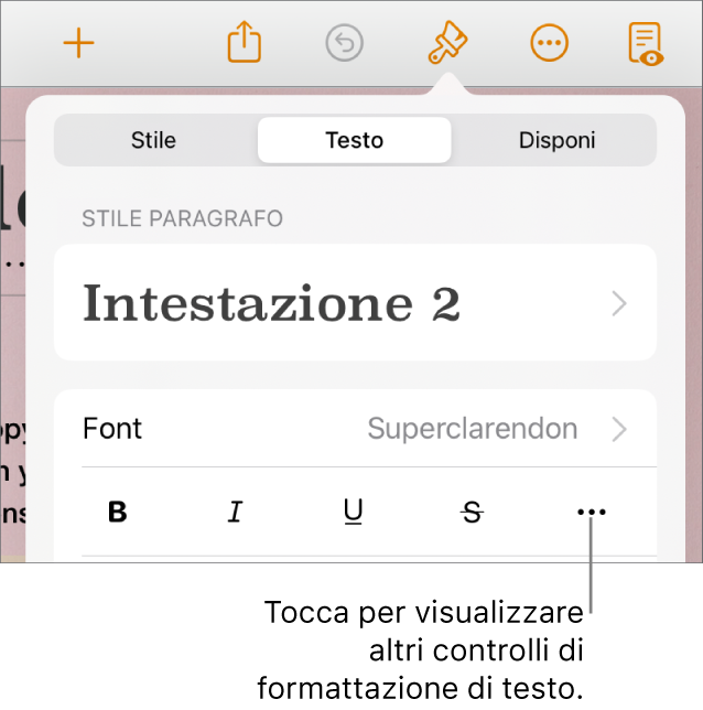 Il pannello Testo dei controlli di Formattazione con una didascalia per il pulsante “Altre opzioni di testo”.